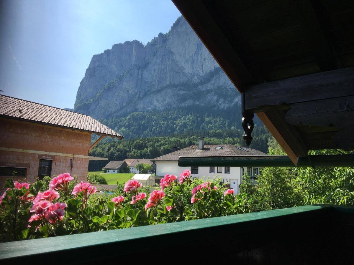 Ferienwohnung Meindl Elfi An Der Drachenwand 44 Мондзее Екстериор снимка